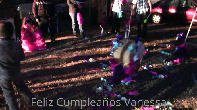 Quebrando La Piñata en la Fiesta de Cumpleaños de Vanessa, Abril 19 2014