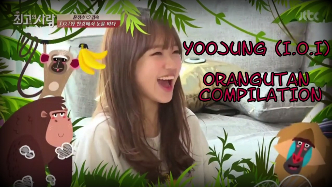 I.O.I (아이오아이) CHOI YOOJUNG ( 최유정 ) - ORANGUTAN COMPILATION || fightingkathy