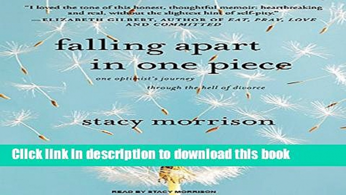 Read Falling Apart in One Piece: One Optimist s Journey Through the Hell of Divorce  Ebook Online