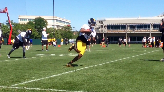 Pittsburgh Steelers WRs finish off OTAs