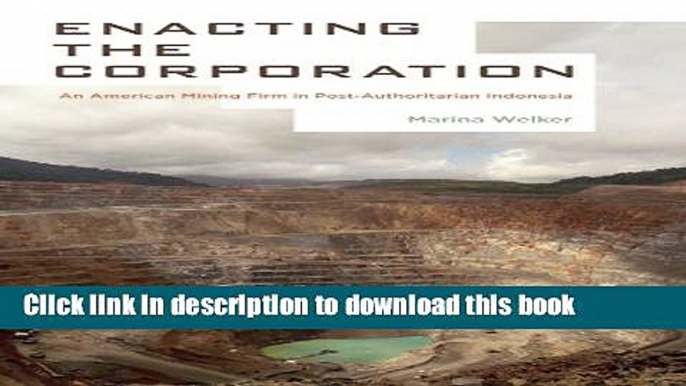 Read Enacting the Corporation: An American Mining Firm in Post-Authoritarian Indonesia  Ebook Free