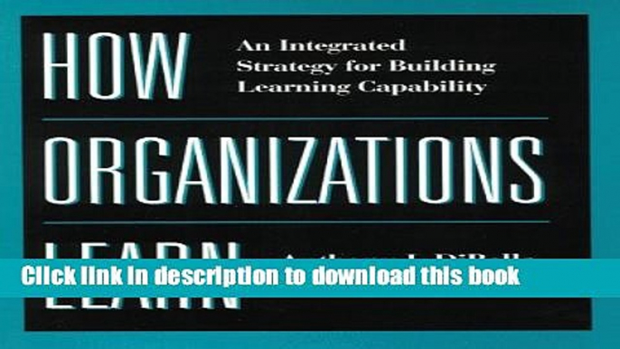 Read Books How Organizations Learn: An Integrated Strategy for Building Learning Capability Ebook