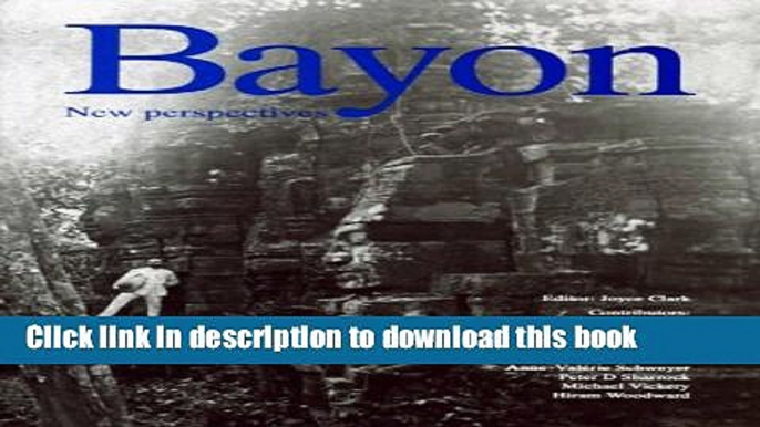 Read Book Bayon: New Perspectives ebook textbooks