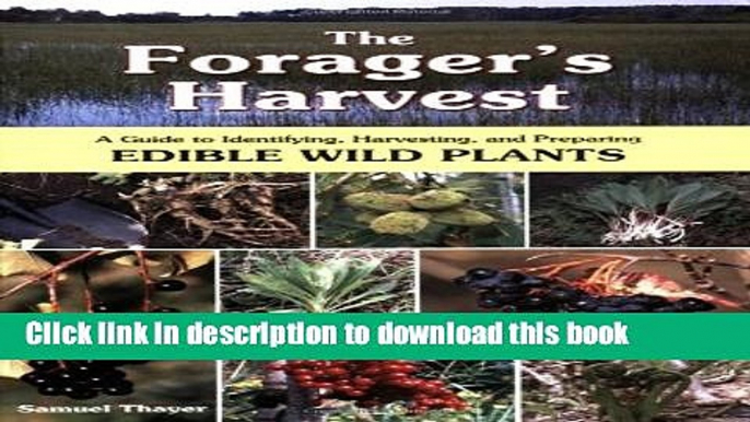 Read The Forager s Harvest: A Guide to Identifying, Harvesting, and Preparing Edible Wild Plants