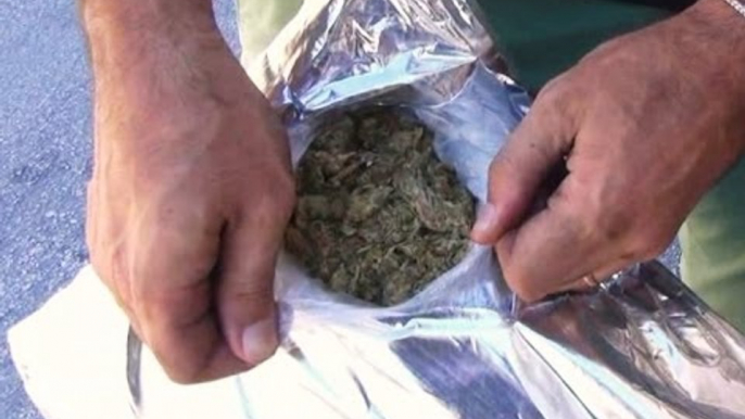 Ancona - Tre quintali di marijuana nascosti su un camion: arrestato autista spagnolo (21.07.16)