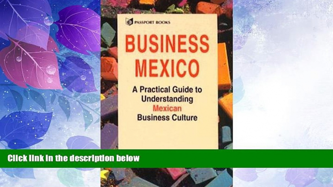 Big Deals  Business Mexico: A Practical Guide to Understanding Mexican Business Culture