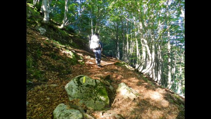 étangs des Lavants de l'Escale, Bassiès ,Alate