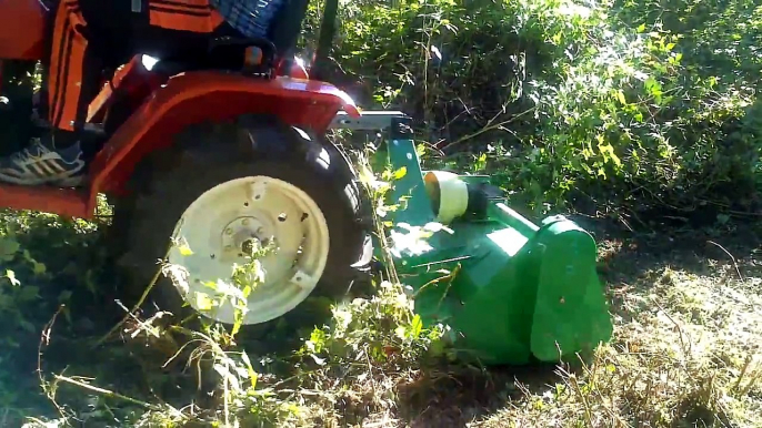 Kubota B1500 mit 19 Ps und GEO Mulcher EFG 125