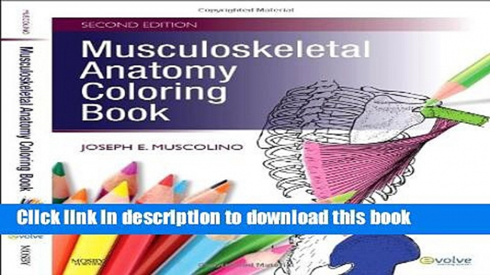 Download Books Musculoskeletal Anatomy Coloring Book PDF Free