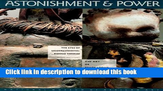 Read Astonishment   Power: The Eyes of Understanding: Kongo Minkisi / The Art of Renee Stout Ebook