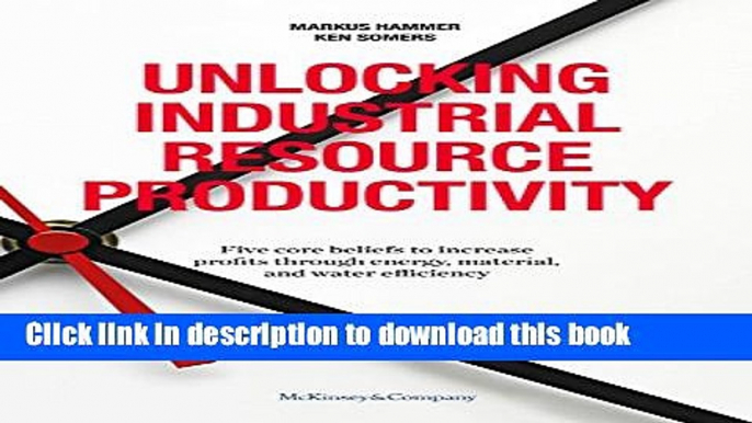 Read Books Unlocking Industrial Resource Productivity: 5 core beliefs to increase profits through