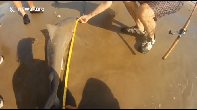 Woman catches two sharks on fishing trip