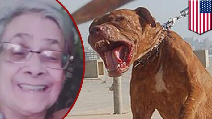 Grandma viciously mauled to death by family pitbull in Detroit home