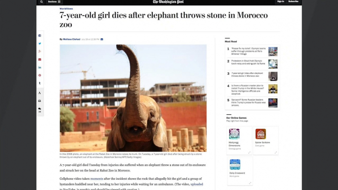 7-Year-Old Dies After Zoo Elephant Throws Rock At Her