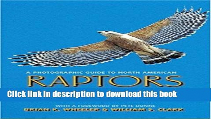 Books A Photographic Guide to North American Raptors Full Online