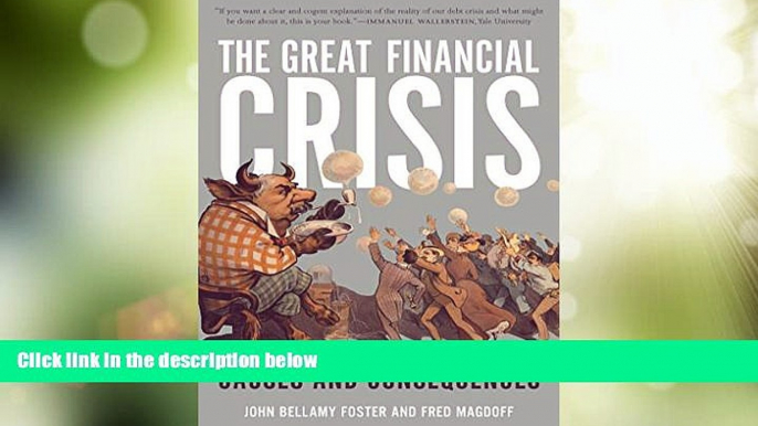 Big Deals  The Great Financial Crisis: Causes and Consequences  Free Full Read Most Wanted