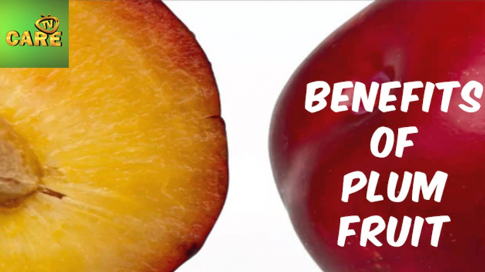 Benefits Of Plum Fruit | Care Tv