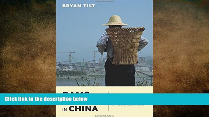 READ book  Dams and Development in China: The Moral Economy of Water and Power (Contemporary Asia