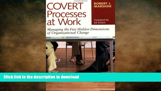 FAVORIT BOOK Covert Processes at Work : Managing the Five Hidden Dimensions of Organizational