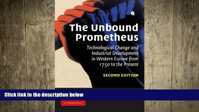 READ book  The Unbound Prometheus: Technological Change and Industrial Development in Western