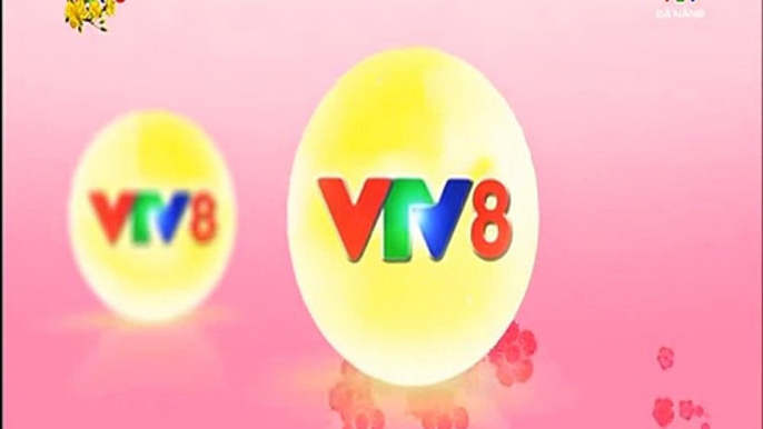 VTV Đà Nẵng - VTV8 ident tết 2016