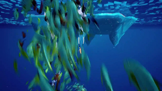 ABZÛ | POLAR BEAR EASTER EGG /ARCTIC EXPLORER TROPHY GUIDE