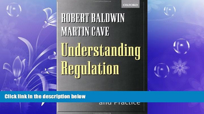 FREE DOWNLOAD  Understanding Regulation: Theory, Strategy, and Practice  FREE BOOOK ONLINE