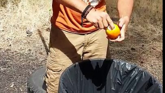 How to empty out an orange to create outdoor brownies for camping