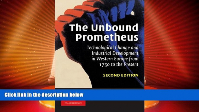 Must Have  The Unbound Prometheus: Technological Change and Industrial Development in Western