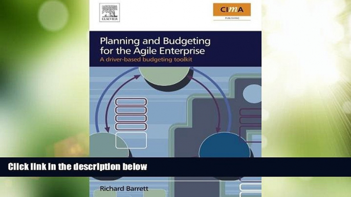 Must Have  Planning and Budgeting for the Agile Enterprise: A driver-based budgeting toolkit