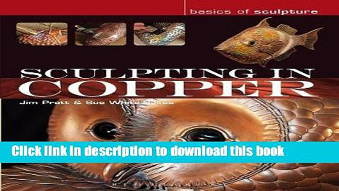 [Download] Sculpting in Copper (Basics of Sculpture) Paperback Free