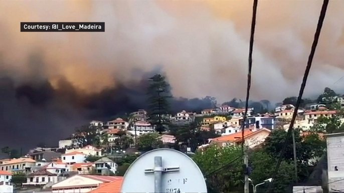 Madeira wildfires: Three dead and hundreds evacuated