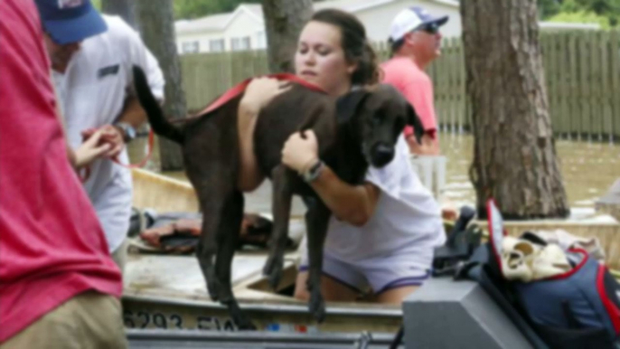 At least 8 dead, 40,000 homes damaged in devastating Louisiana floods