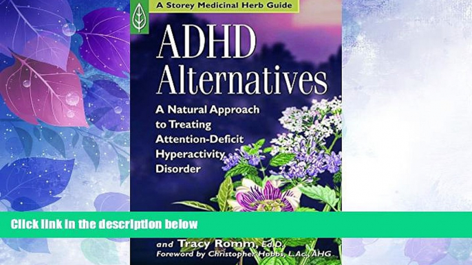 Big Deals  ADHD Alternatives: A Natural Approach to Treating Attention Deficit Hyperactivity