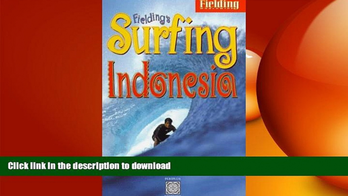 READ BOOK  Fielding s Surfing Indonesia : Fielding s In-Depth Guide to Boarding on the World s