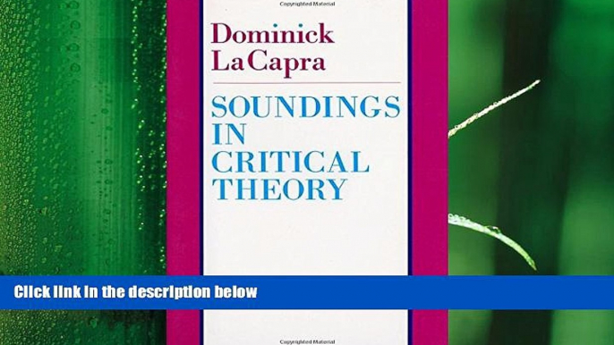 book online Soundings in Critical Theory