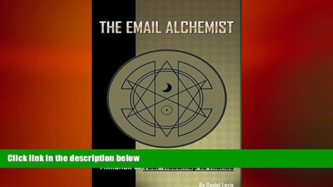 READ book  The Email Alchemist: Profit Diary of an Online Marketing Millionaire, Your Roadmap to