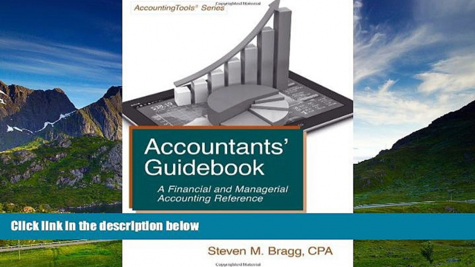 Must Have  Accountants  Guidebook: A Financial and Managerial Accounting Reference  READ Ebook