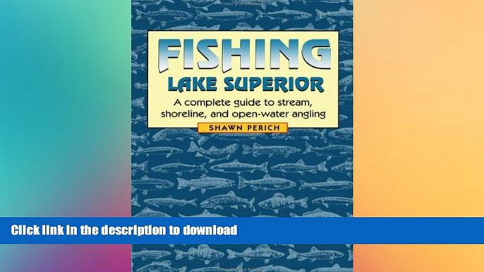 READ  Fishing Lake Superior: A complete guide to stream, shoreline, and open-water angling FULL