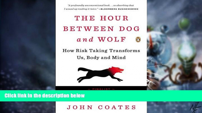 Big Deals  The Hour Between Dog and Wolf: How Risk Taking Transforms Us, Body and Mind  Best