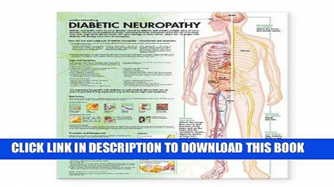 [FREE] EBOOK Understanding Diabetic Neuropathy Anatomical Chart BEST COLLECTION