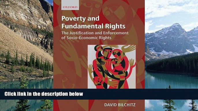 Books to Read  Poverty and Fundamental Rights: The Justification and Enforcement of Socio-economic