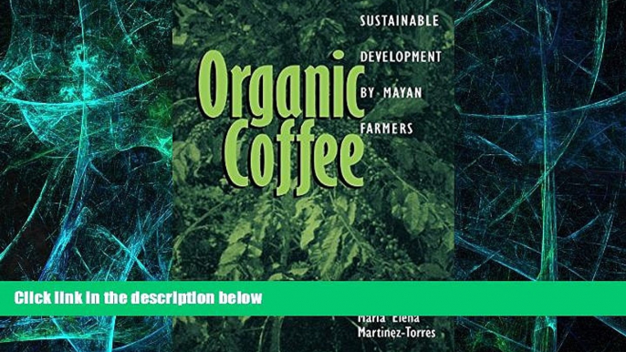 Must Have  Organic Coffee: Sustainable Development by Mayan Farmers (Ohio RIS Latin America