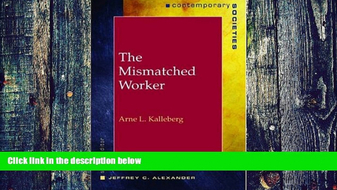 Big Deals  The Mismatched Worker (Contemporary Societies Series)  Free Full Read Most Wanted