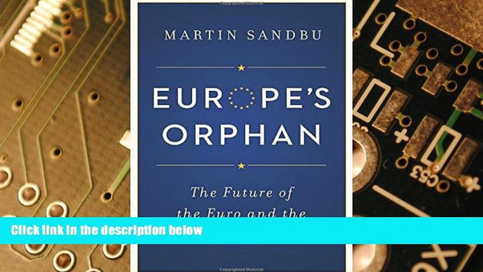 Big Deals  Europe s Orphan: The Future of the Euro and the Politics of Debt  Best Seller Books