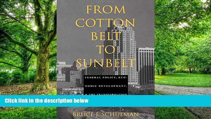 Big Deals  From Cotton Belt to Sunbelt: Federal Policy, Economic Development, and the