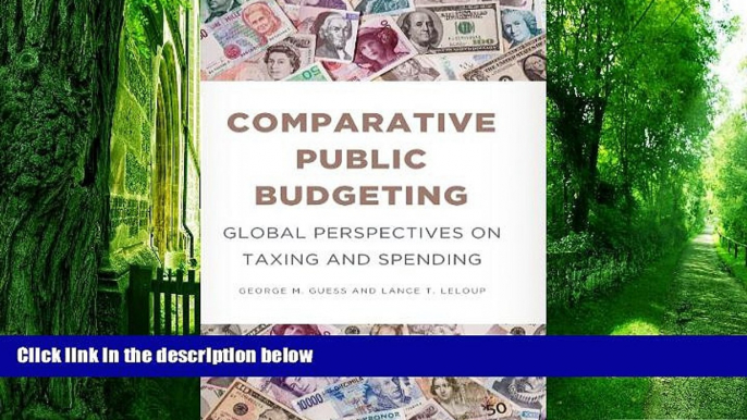 Big Deals  Comparative Public Budgeting: Global Perspectives on Taxing and Spending  Best Seller