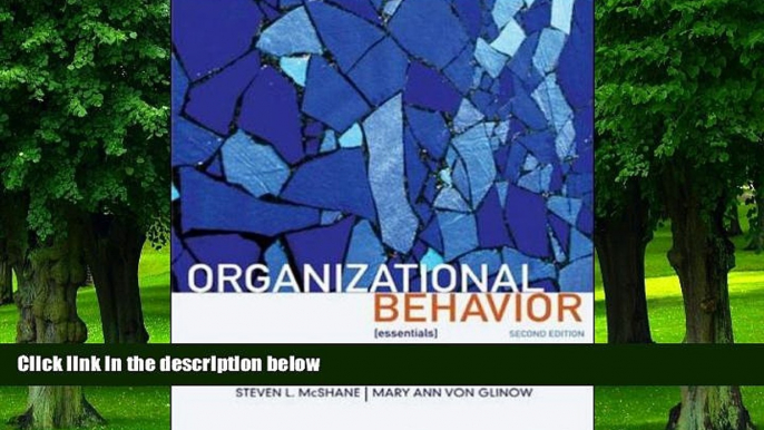 Big Deals  Organizational Behavior: Essentials  Best Seller Books Most Wanted