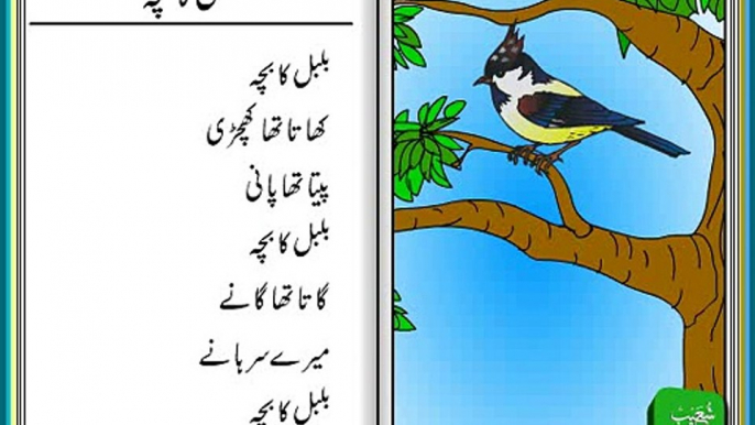 Bulbul Ka Bacha - Urdu Poem for Kids