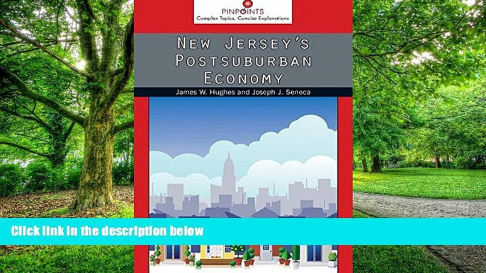 Big Deals  New Jersey s Postsuburban Economy (Pinpoints)  Free Full Read Best Seller